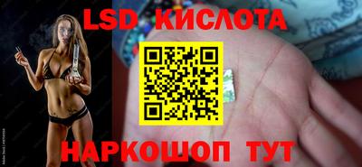 прущие крисы Камышлов