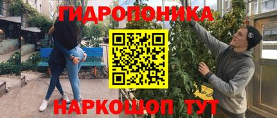 прущие крисы Камышлов