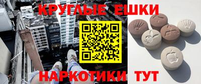 прущие крисы Камышлов