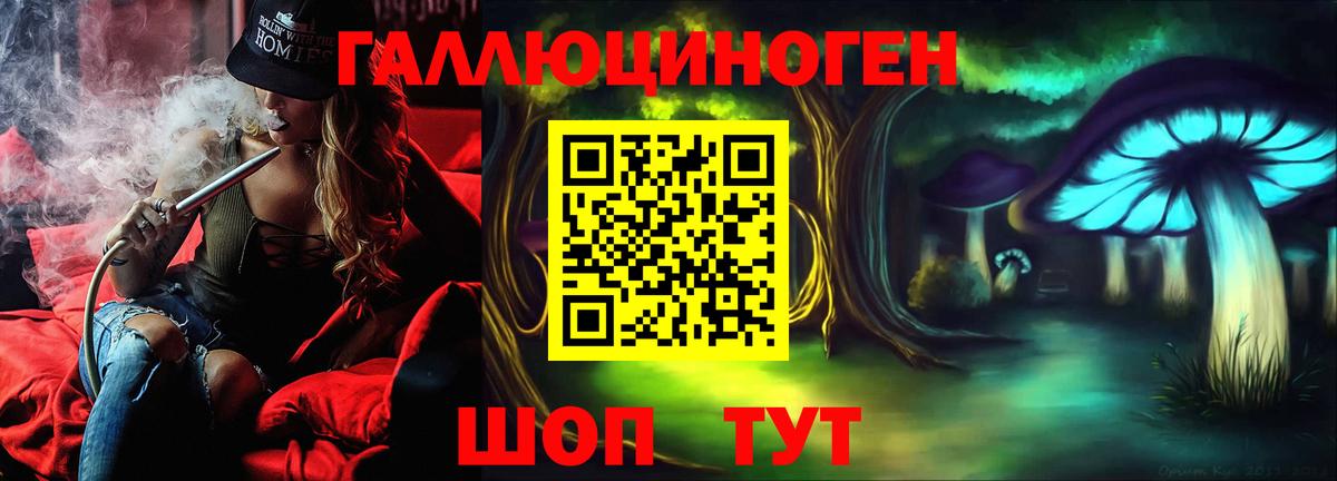 Галлюциногенные грибы Psilocybe  Вход с VPN  Шахты 